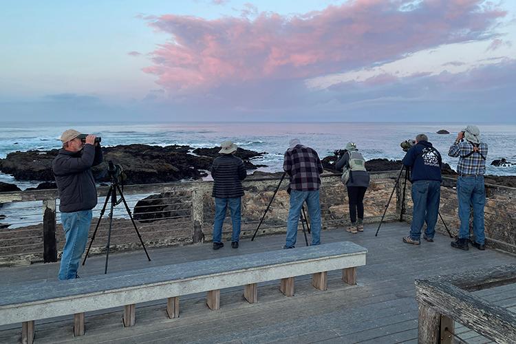 校友 Retreat Provides Weekend of Birding, Fellowship, and Worship at Albion Field Station